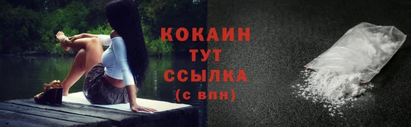 крисы Абдулино