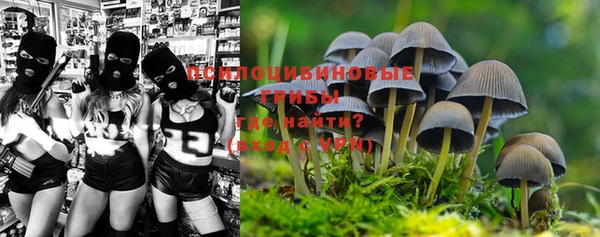 трава Абинск