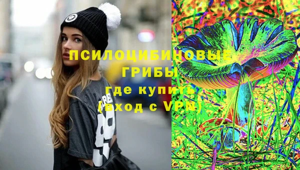 крисы Абдулино