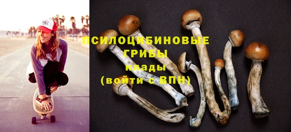 трава Абинск