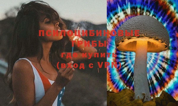 крисы Абдулино