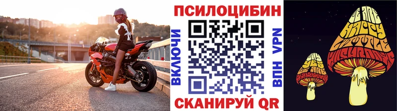 Галлюциногенные грибы мицелий  Советск 