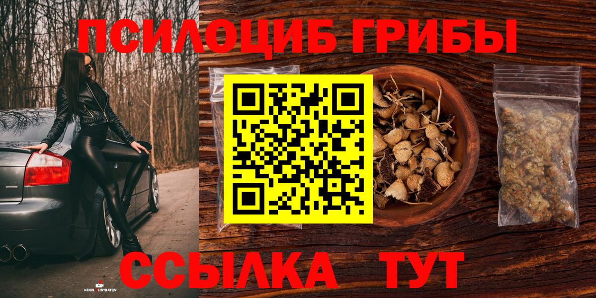 Галлюциногенные грибы Magic Shrooms Советск