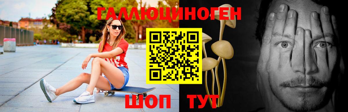 где купить наркоту  Вход с VPN  Советск  Псилоцибиновые грибы MAGIC MUSHROOMS 